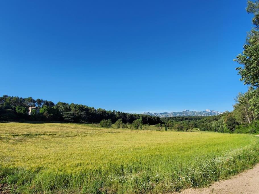 Les Prairies De Fenestrelle Spa & Piscine Au Calme Aubagne Exteriér fotografie