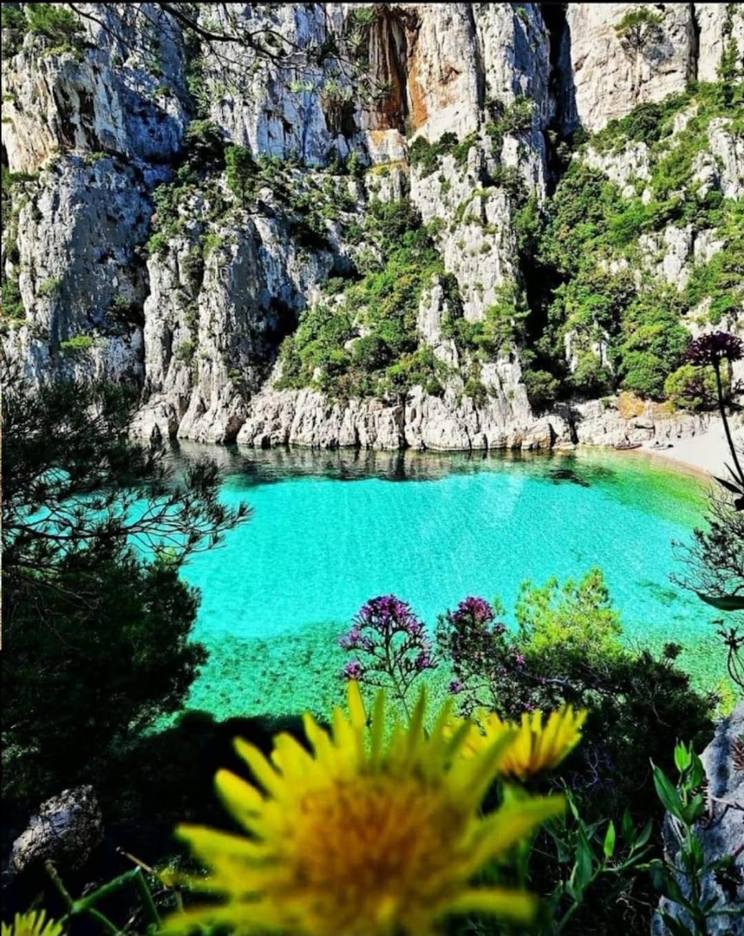 Les Prairies De Fenestrelle Spa & Piscine Au Calme Aubagne Exteriér fotografie